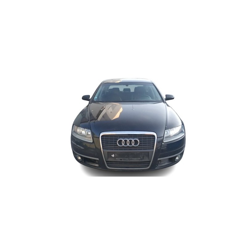 AUDI A6 AVANT (4F5) - imagen 1