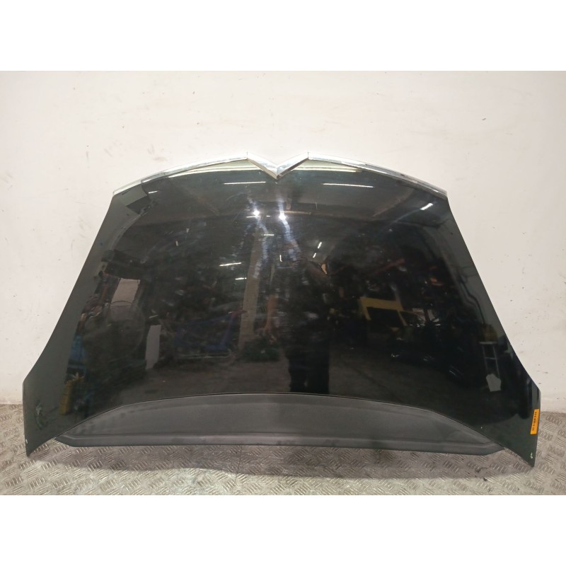 CAPOT DELANTERO 7901N7  - imagen 1