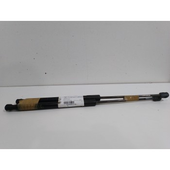 AMORTIGUADORES MALETERO / PORTON 844300009R 