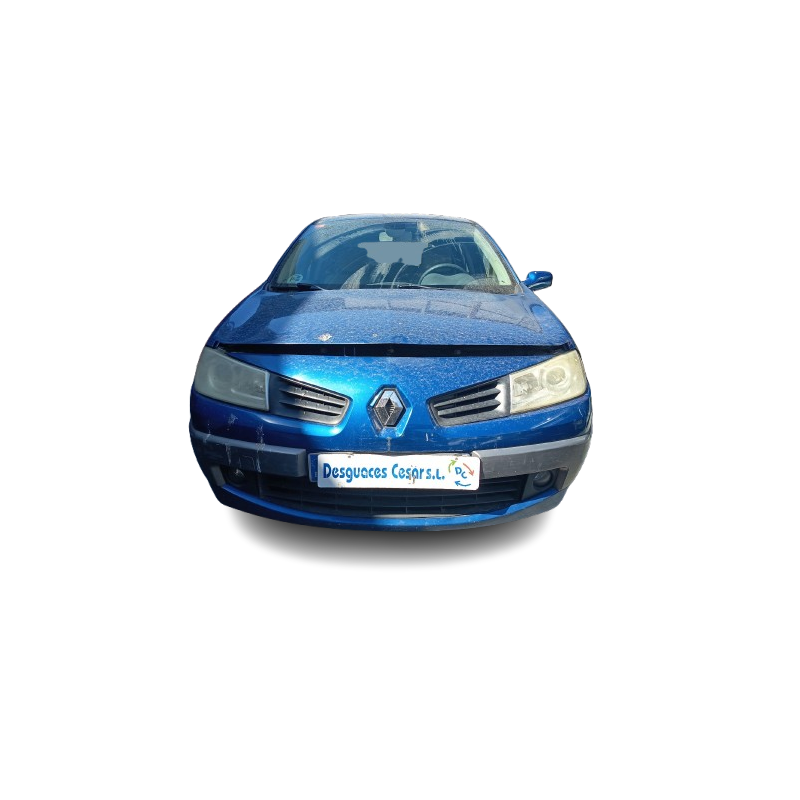 RENAULT MEGANE II (BM0/1_, CM0/1_) - imagen 6