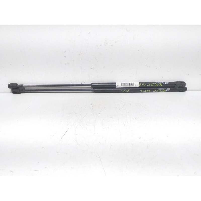 AMORTIGUADORES MALETERO / PORTON GN600650  - imagen 1