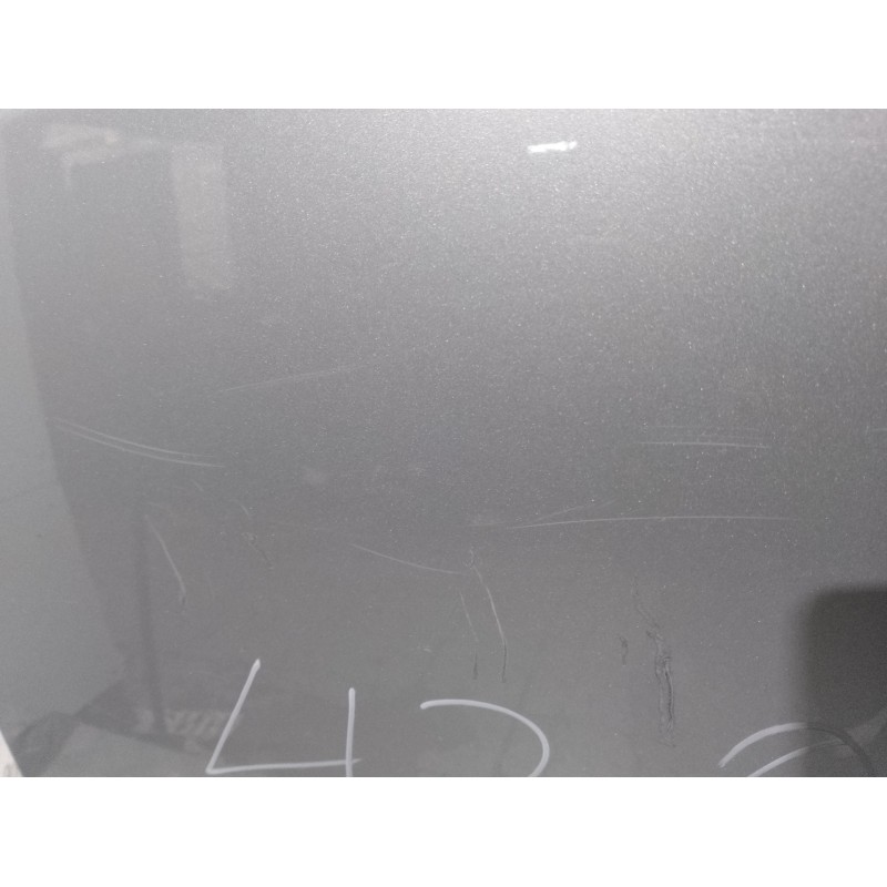 PUERTA TRASERA IZQUIERDA PLATA  - imagen 3