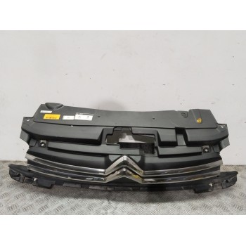 REJILLA PARAGOLPES DELANTERO 9814095980 