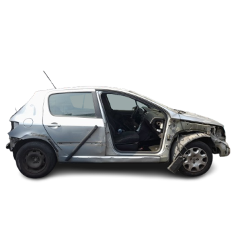 PEUGEOT 307 (3A/C)