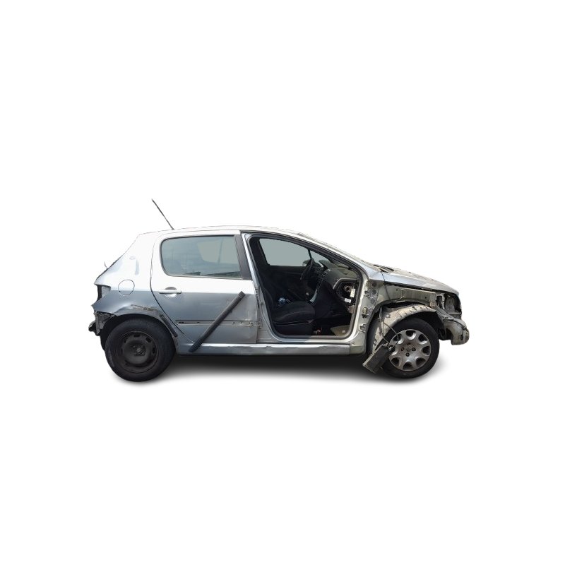 PEUGEOT 307 (3A/C) - imagen 1
