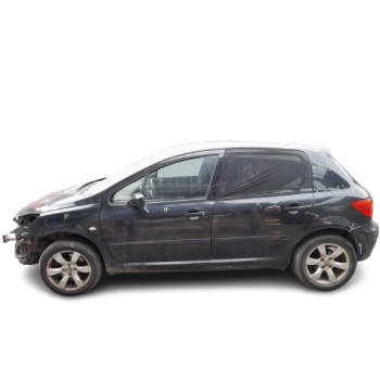 PEUGEOT 307 (3A/C)