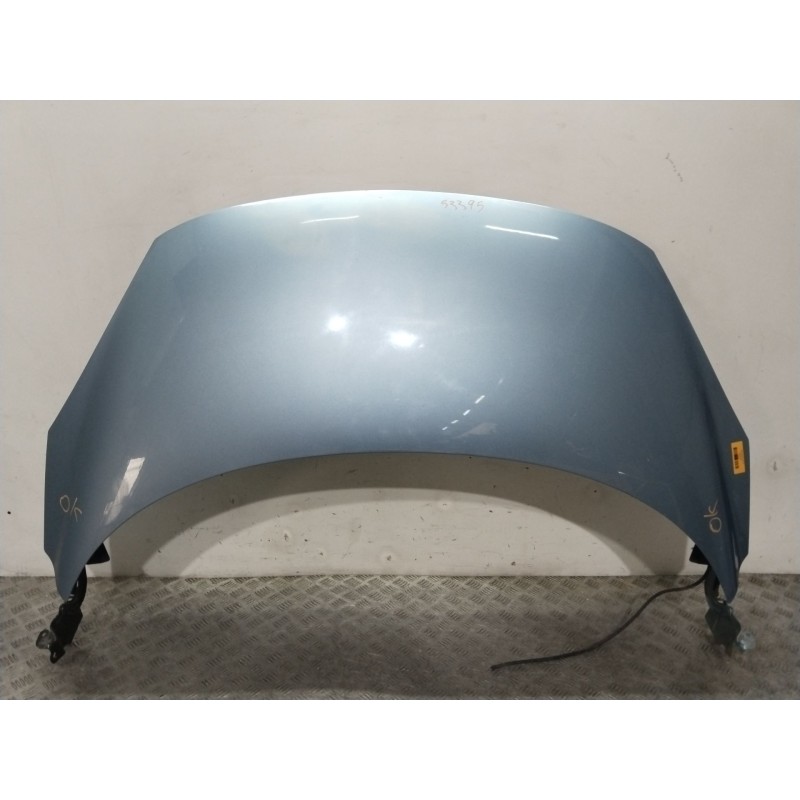 CAPOT DELANTERO 651008842R AZUL - imagen 1