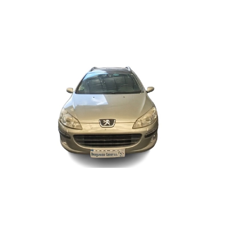 PEUGEOT 407 - imagen 1