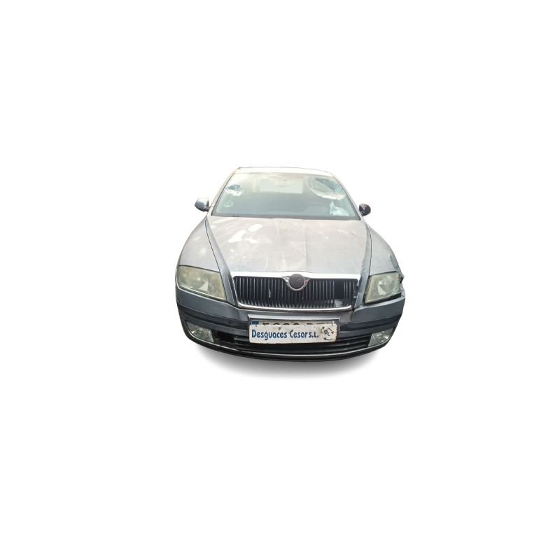 SKODA OCTAVIA II COMBI (1Z5) - imagen 1