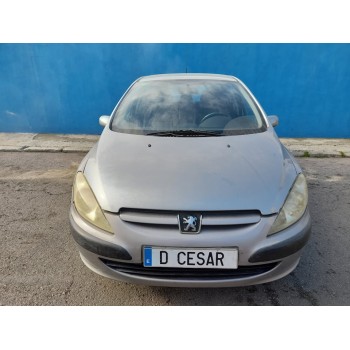 PEUGEOT 307 (S1)