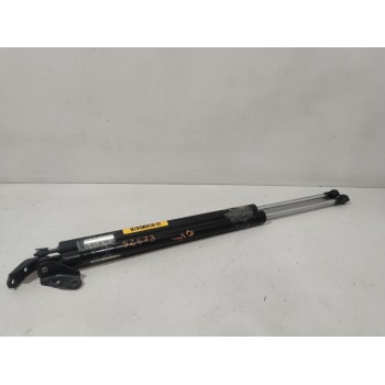 AMORTIGUADORES MALETERO / PORTON EG2162620D 