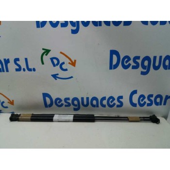 AMORTIGUADORES MALETERO / PORTON 