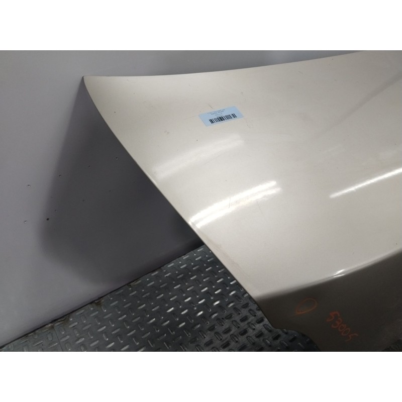 PORTON TRASERO 51751741  - imagen 3