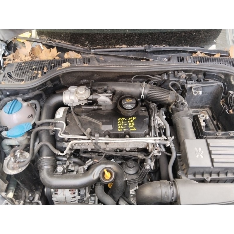 SKODA OCTAVIA II (1Z3) - imagen 3