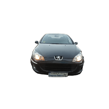 PEUGEOT 407 (6D_)