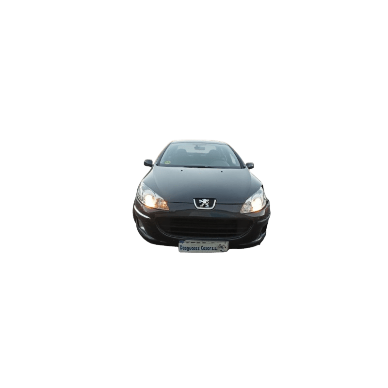 PEUGEOT 407 (6D_) - imagen 1