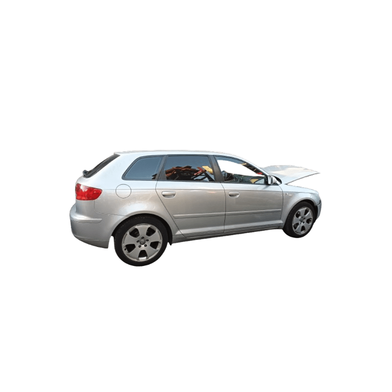 AUDI A3 SPORTBACK (8PA) - imagen 1
