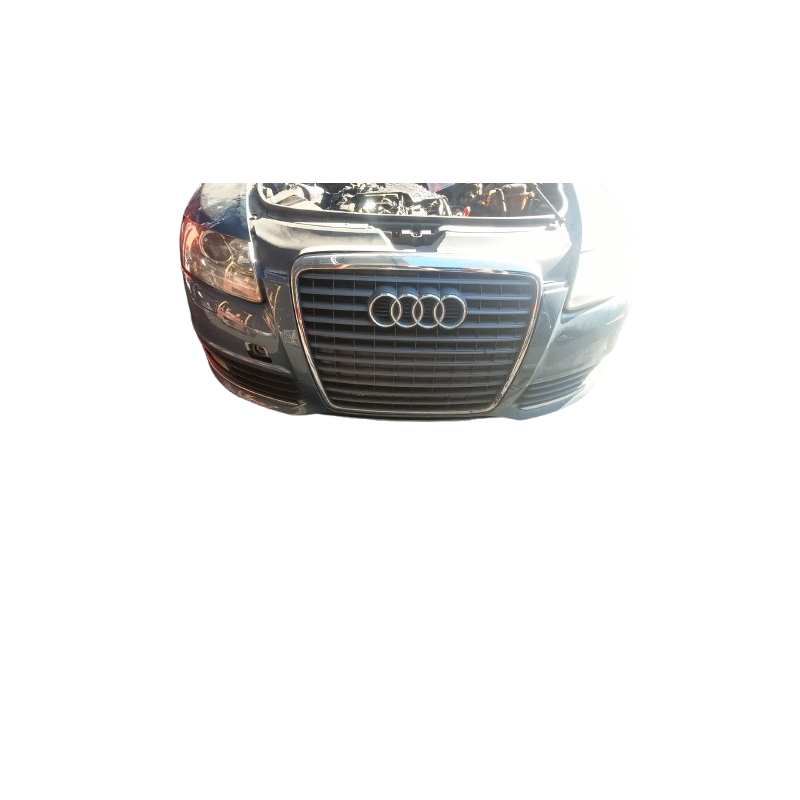 AUDI A6 C6 (4F2) - imagen 1