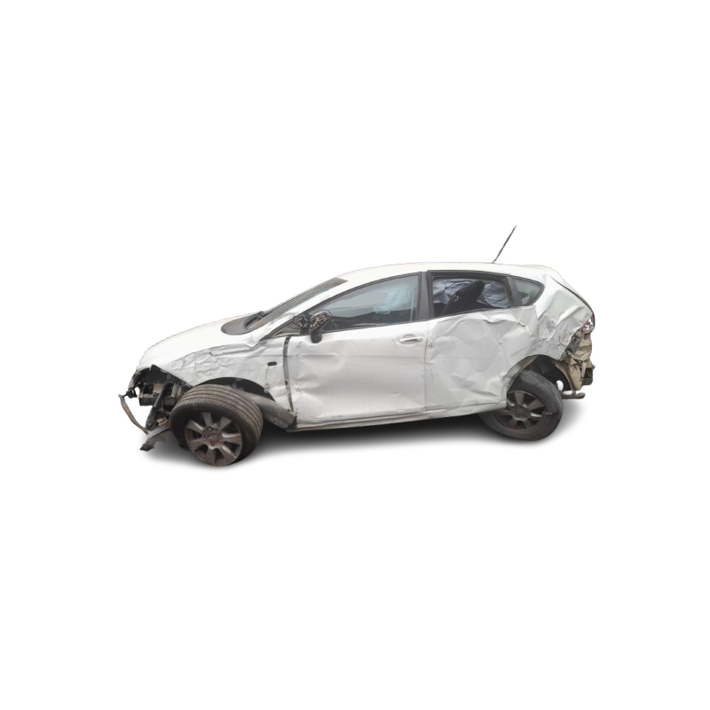 SEAT LEON (1P1) - imagen 1