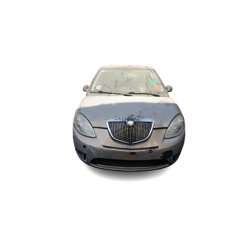 LANCIA YPSILON (843_) - imagen 1