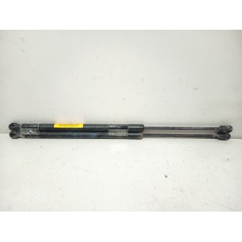 AMORTIGUADORES MALETERO / PORTON 13241975 