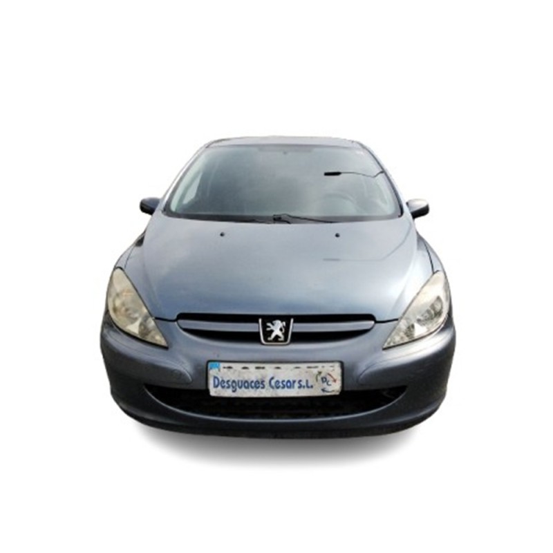 PEUGEOT 307 (3A/C) - imagen 1