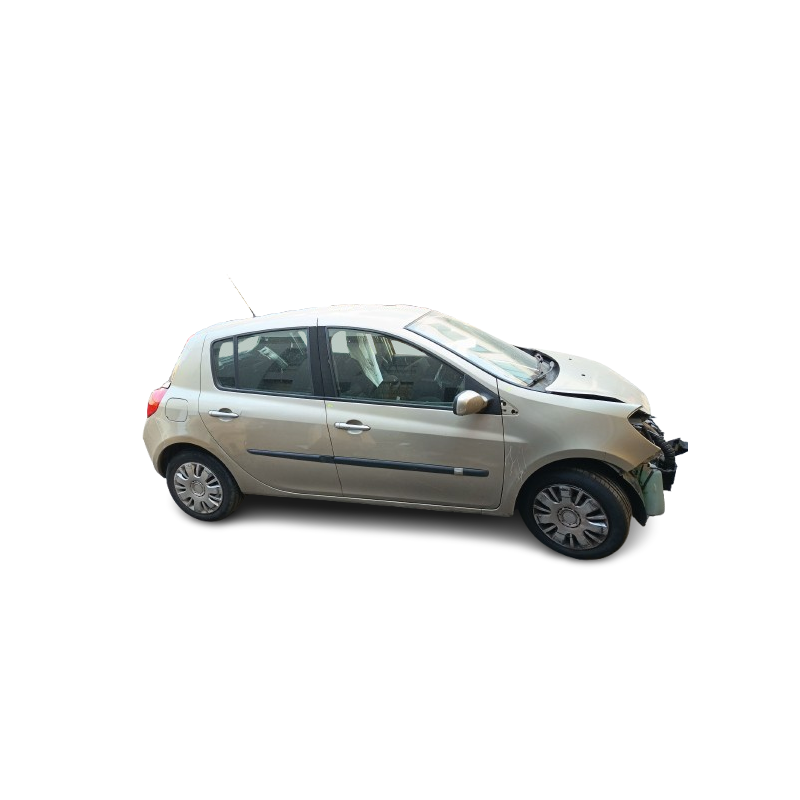 RENAULT CLIO III (BR0/1, CR0/1) - imagen 1