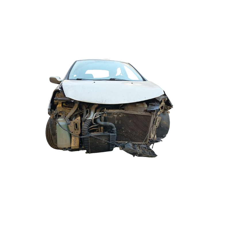 RENAULT CLIO III (BR0/1, CR0/1) - imagen 4