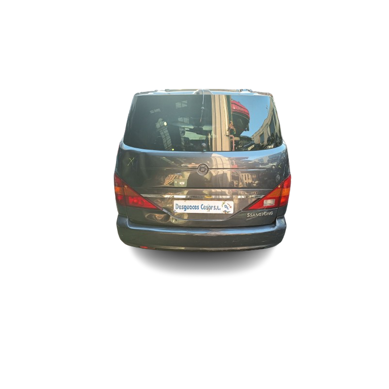 SSANGYONG RODIUS I - imagen 1