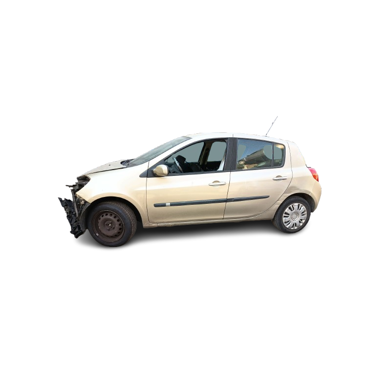 RENAULT CLIO III (BR0/1, CR0/1) - imagen 6