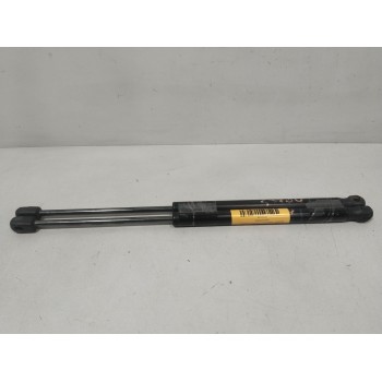 AMORTIGUADORES MALETERO / PORTON 8200051750 