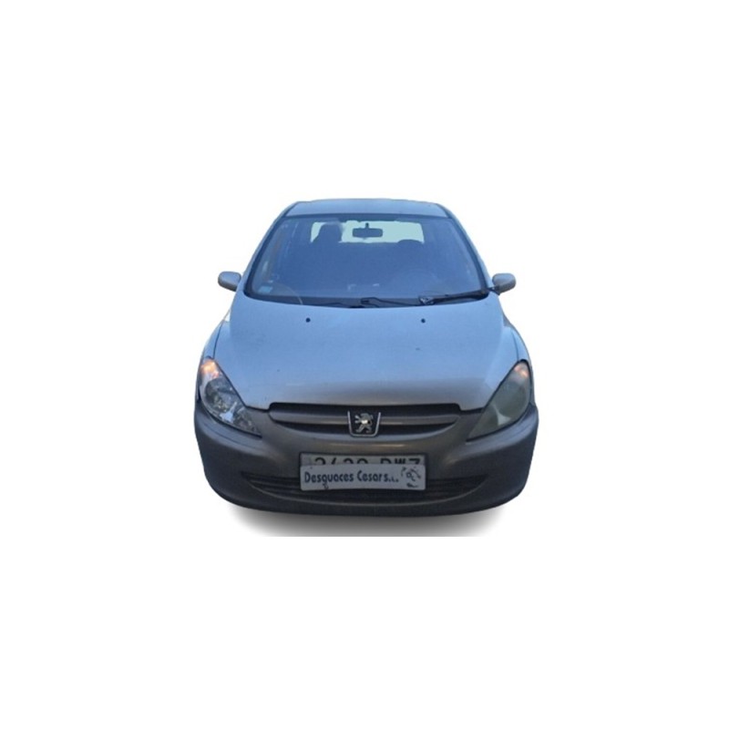 PEUGEOT 307 (3A/C) - imagen 1