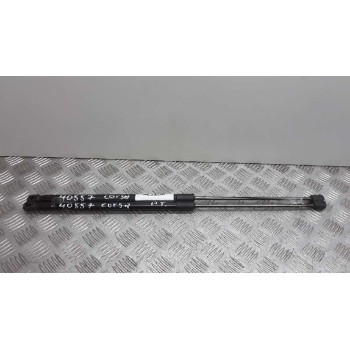 AMORTIGUADORES MALETERO / PORTON 13182309 