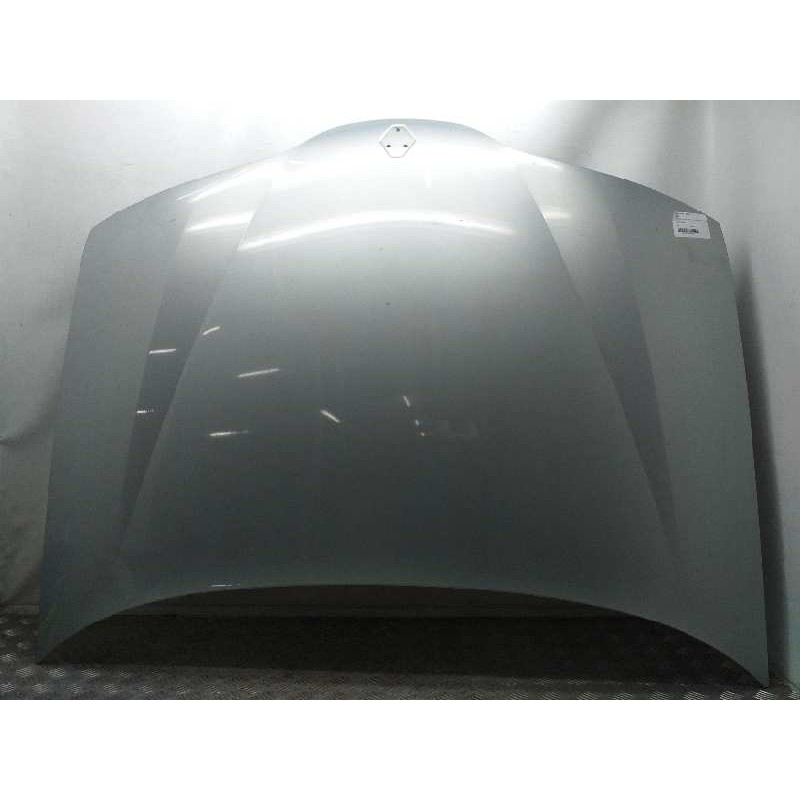 CAPOT 7751471641 GRIS  - imagen 1