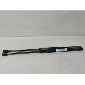 AMORTIGUADORES MALETERO / PORTON 13220159 