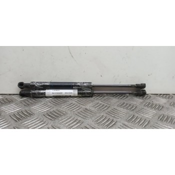 AMORTIGUADORES MALETERO / PORTON 51248254281 