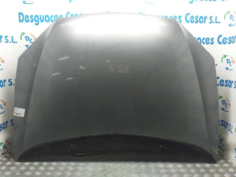 Recambio de capot para citroën c5 berlina 2.0 hdi premier referencia OEM IAM 7901H9 GRIS 