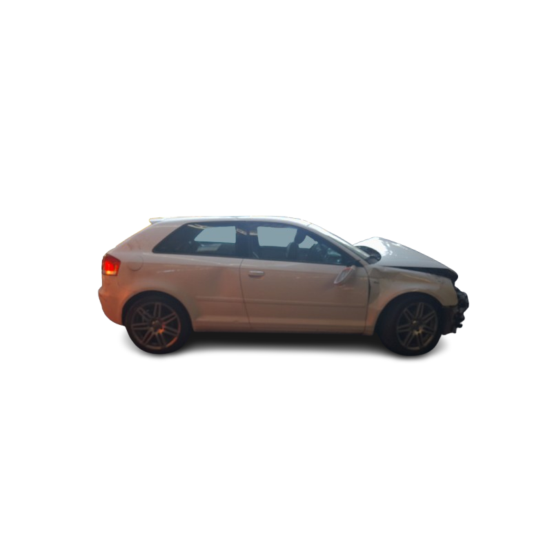 AUDI A3 (8P1) - imagen 1