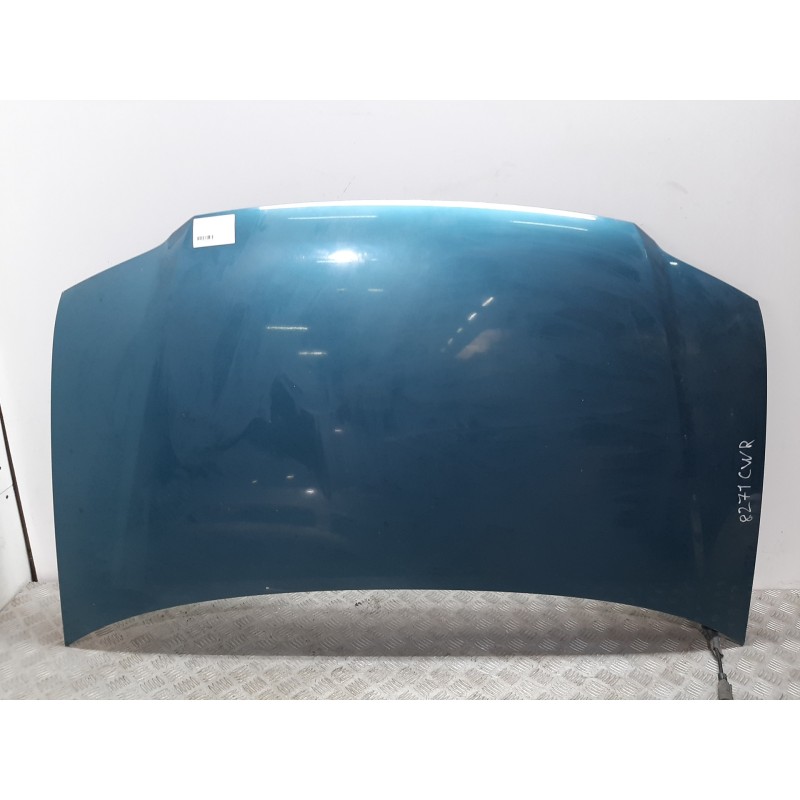 CAPOT 1T0823031D AZUL  - imagen 1