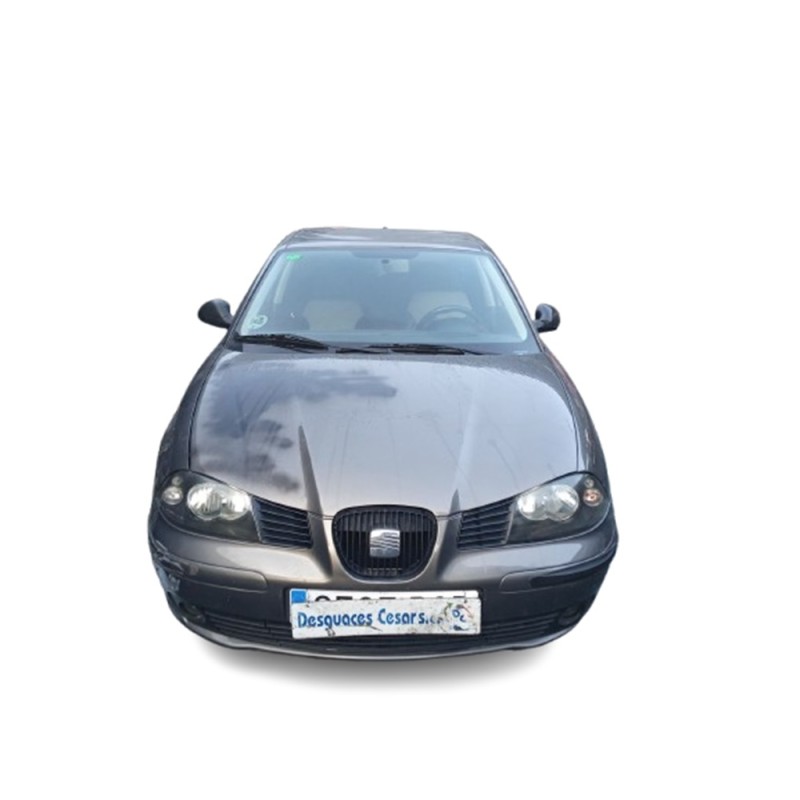 SEAT IBIZA III (6L1) - imagen 1