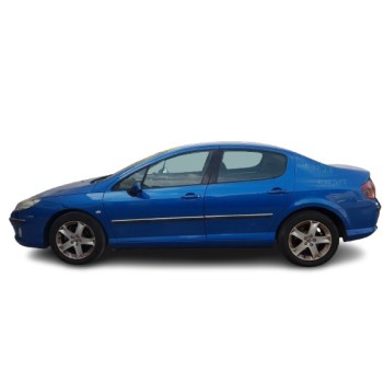 PEUGEOT 407 (6D_)