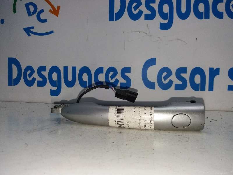 Recambio de maneta exterior trasera izquierda para renault scenic ii 1.9 dci diesel referencia OEM IAM   