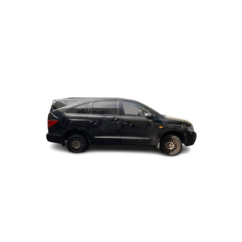 SSANGYONG RODIUS I - imagen 1