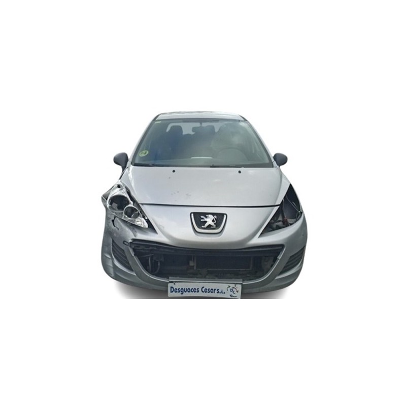 PEUGEOT 207 - imagen 1