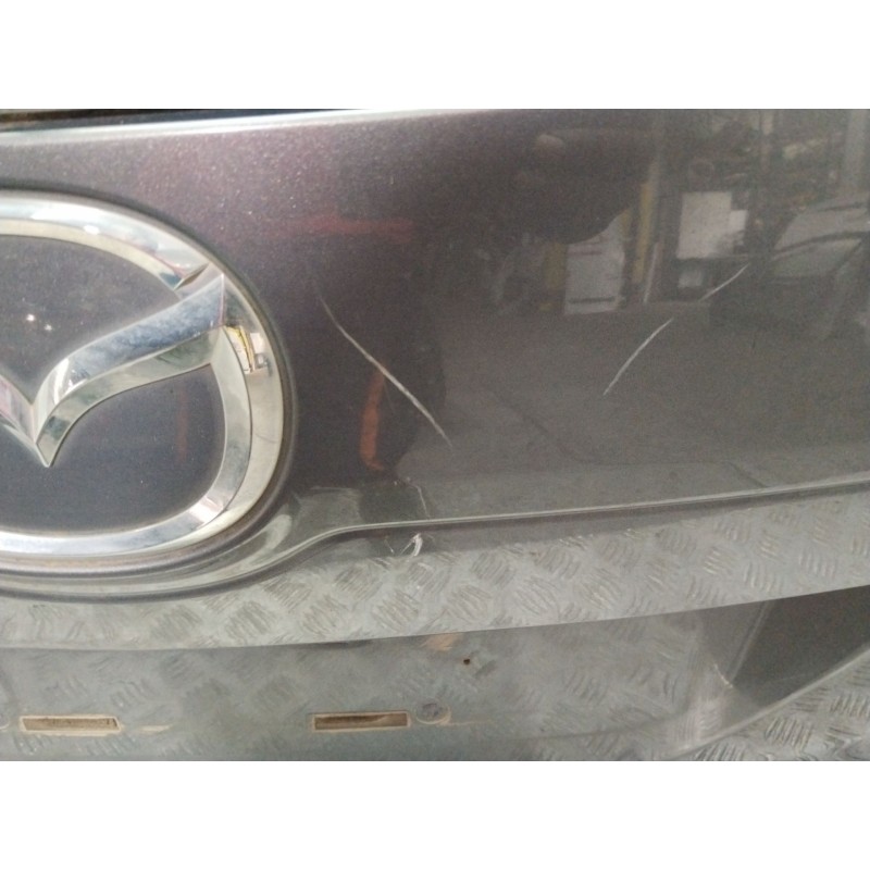 PORTON TRASERO CCY762020G GRIS - imagen 2