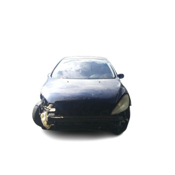 PEUGEOT 307 (3A/C)