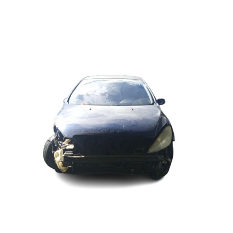 PEUGEOT 307 (3A/C) - imagen 1