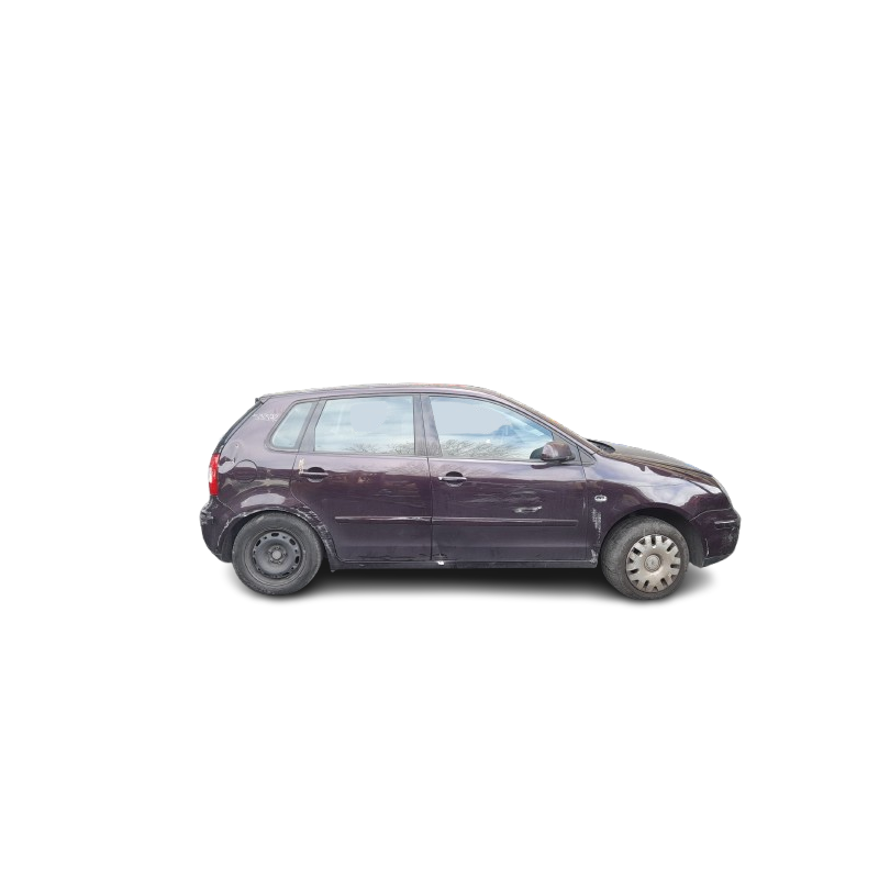 VOLKSWAGEN POLO IV (9N_, 9A_) - imagen 2
