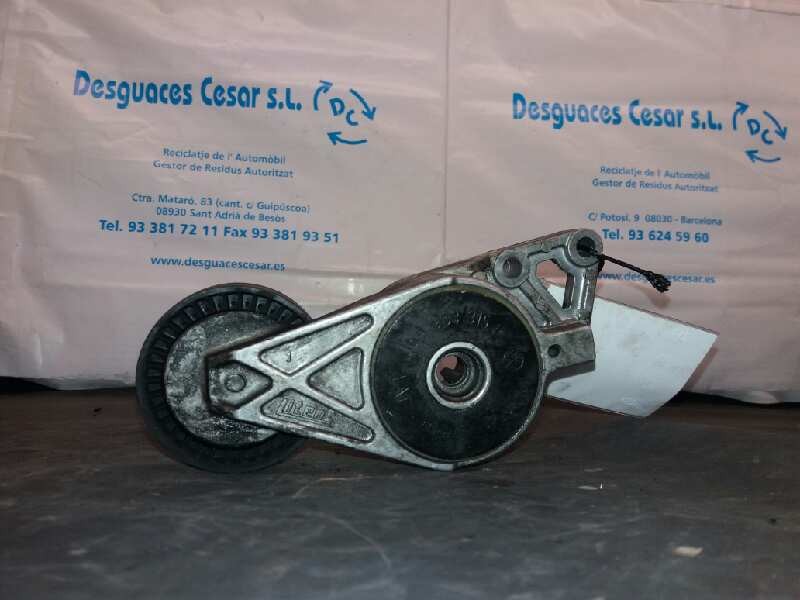 Recambio de tensor correa auxiliar para volkswagen golf iv berlina (1j1) conceptline referencia OEM IAM   