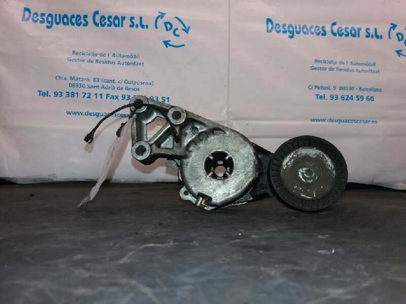 Recambio de tensor correa auxiliar para volkswagen golf iv berlina (1j1) conceptline referencia OEM IAM   